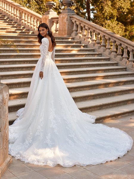 ValStefani BELINDA Stunning Open Illusion Back Shimmer Net and Beaded Lace Appliques Ball Gown
