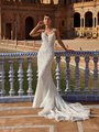 Beaded Straps V-Neck with Illusion Inset Stardust Tulle and Beaded Lace Appliques Mermaid with Chapen Train Style DANIELA