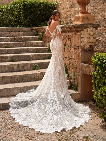 Dramatic illusion pointed train wedding dress with long sleeves and sexy low back